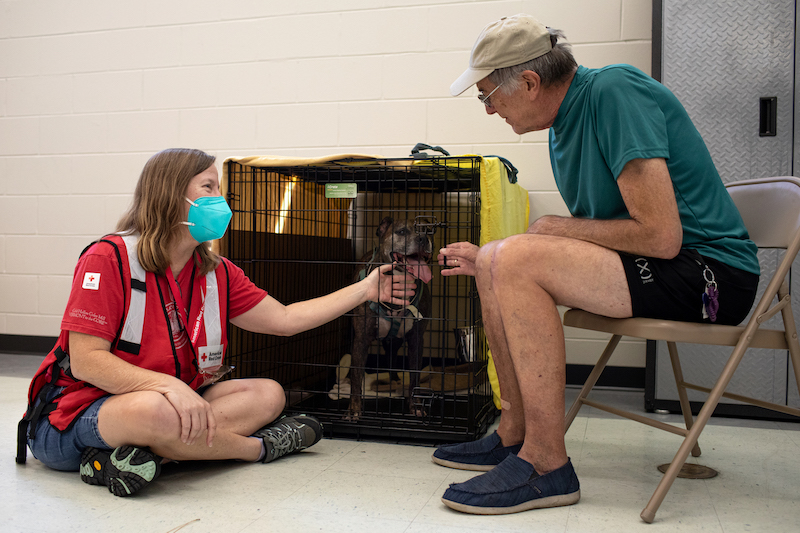 Red cross volunteer Lisa Morales helps care for dog Ellie Rene